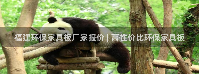杏耀平台登陆地址
