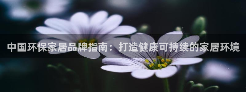 杏耀平台代理