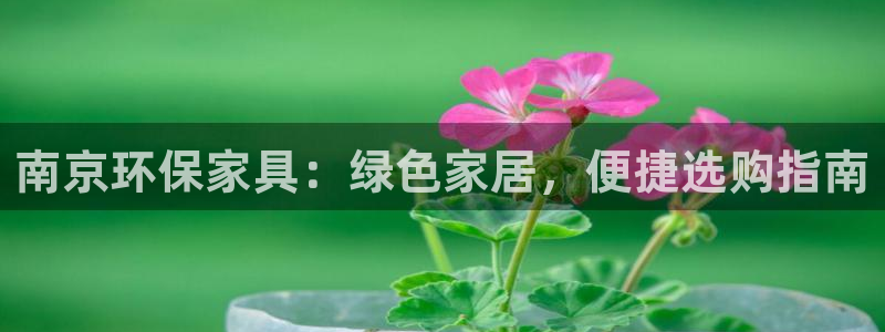 杏耀代理日工资多少