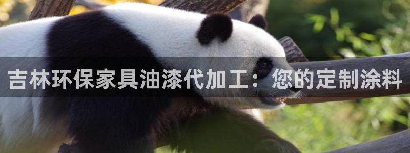杏耀注册代理
