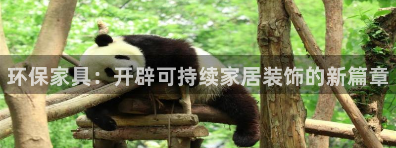 杏耀注册地址