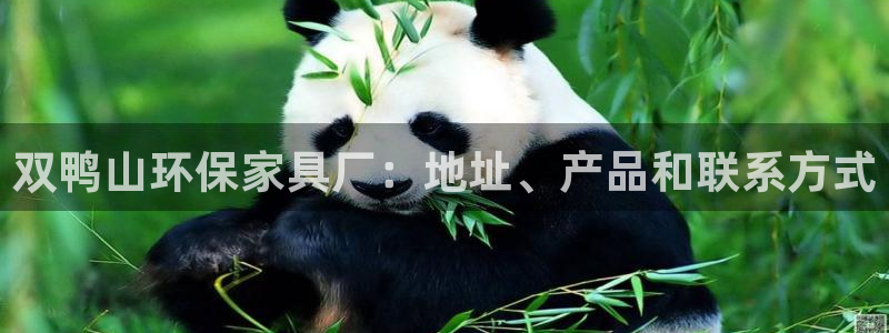杏耀平台登陆测速