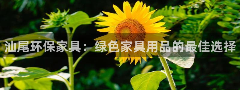 杏耀平台已注册入口