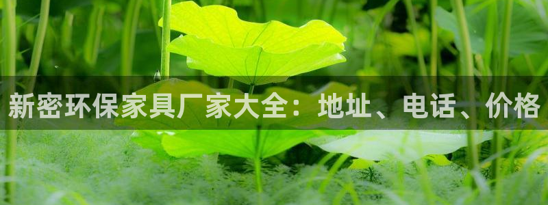 杏耀测速登录地址