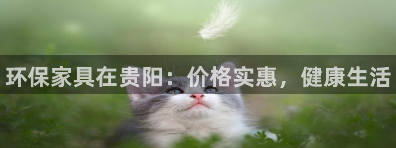 杏耀代理连接