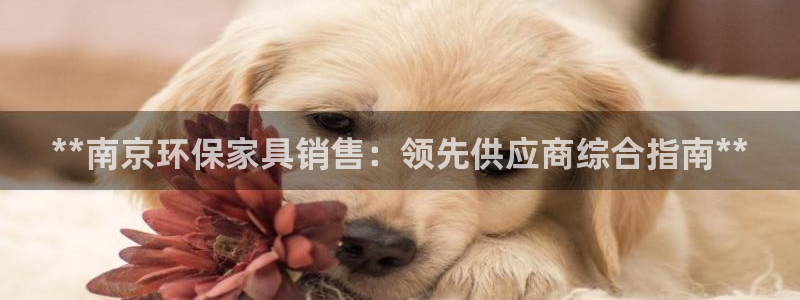 杏耀3代理