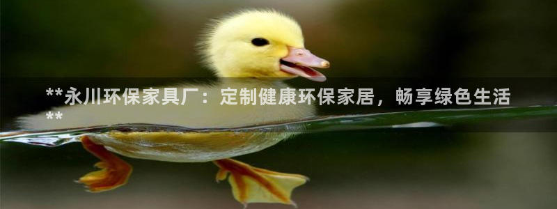 杏耀官方注册中心：**永川环保家具厂：定制健康环保家居，畅享