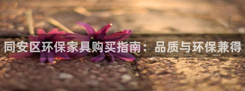 杏耀平台登录网站：同安区环保家具购买指南：品质与环保兼得