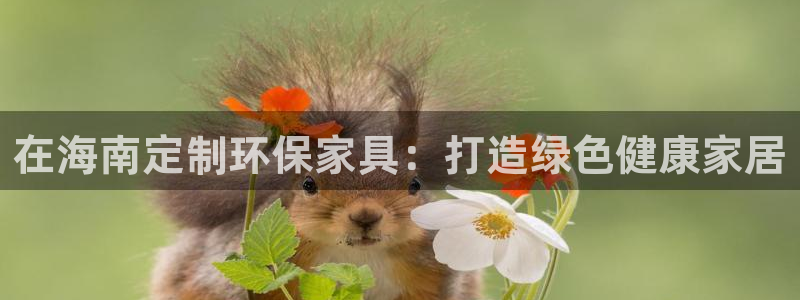 杏耀软件：在海南定制环保家具：打造绿色健康家居