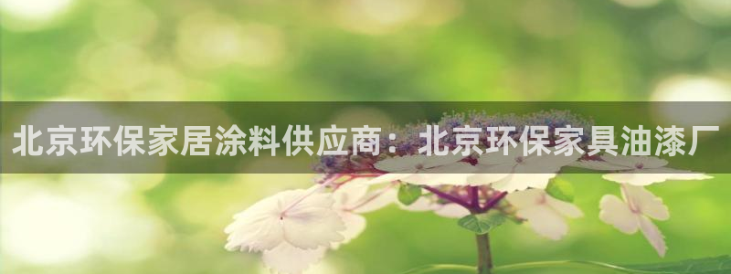 杏耀平台靠谱吗：北京环保家居涂料供应商：北京环保家具油漆厂