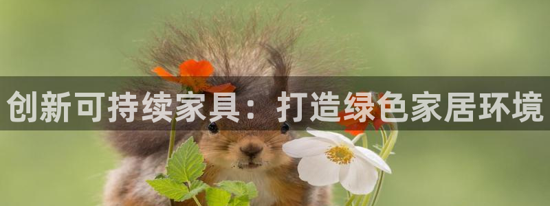 杏耀平台娱乐：创新可持续家具：打造绿色家居环境