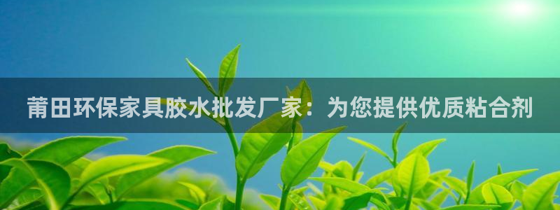 杏耀手机客户端：莆田环保家具胶水批发厂家：为您提供优质粘合剂