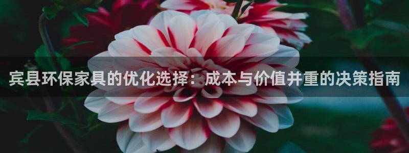 杏耀软件