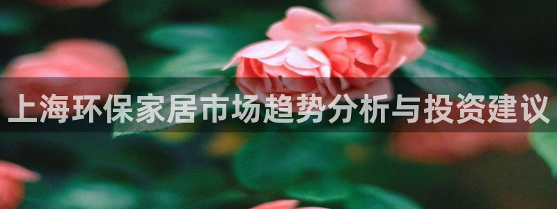 杏耀登陆