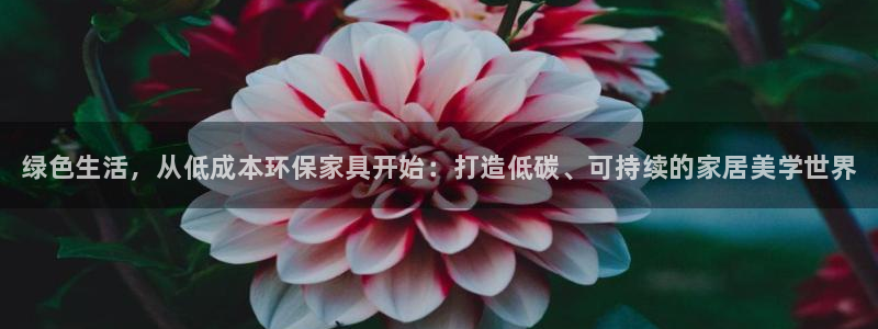 杏耀平台测速登录：绿色生活，从低成本环保家具开始：打造低碳、