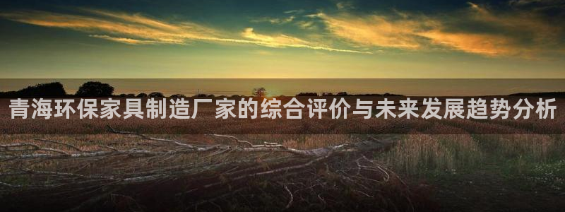 杏耀平台注册问一问：青海环保家具制造厂家的综合评价与未来发展