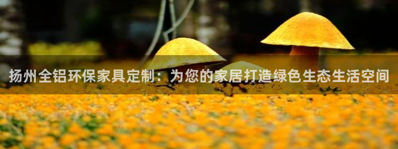 杏耀平台怎样：扬州全铝环保家具定制：为您的家居打造绿色生态生