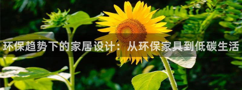 杏耀平台代理登录网址是多少：环保趋势下的家居设计：从环保家具