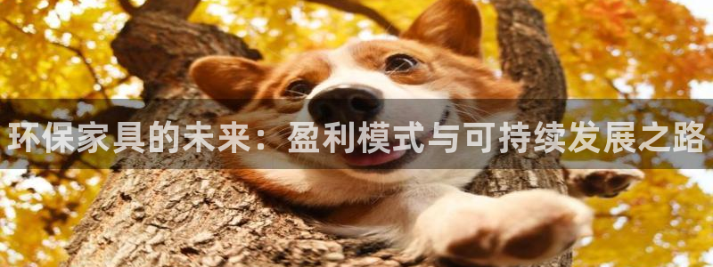 杏耀平台手机app：环保家具的未来：盈利模式与可持续发展之路