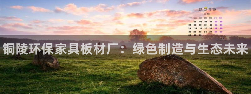 杏耀平台娱乐：铜陵环保家具板材厂：绿色制造与生态未来