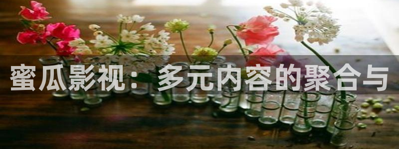 狮子抓河马视频：蜜瓜影视：多元内容的聚合与