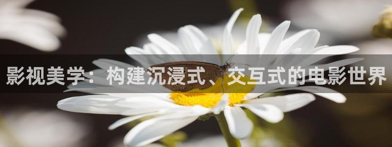 非洲河马视频：影视美学：构建沉浸式、交互式的电影世界