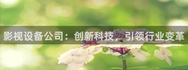动物河马视频：影视设备公司：创新科技，引领行业变革