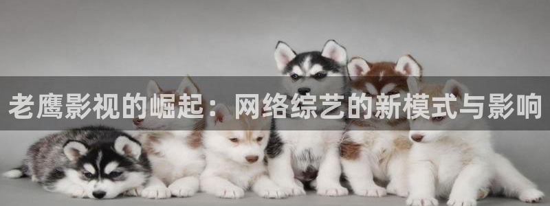 下载河马视频：老鹰影视的崛起：网络综艺的新模式与影响