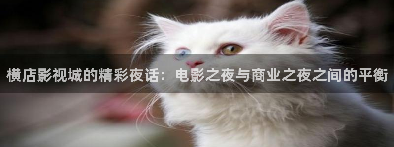 下栽河马视频：横店影视城的精彩夜话：电影之夜与商业之夜之间的平衡