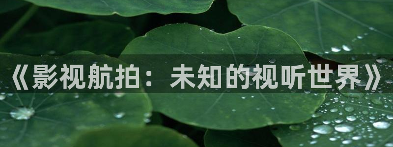 小河马视频大全：《影视航拍：未知的视听世界》