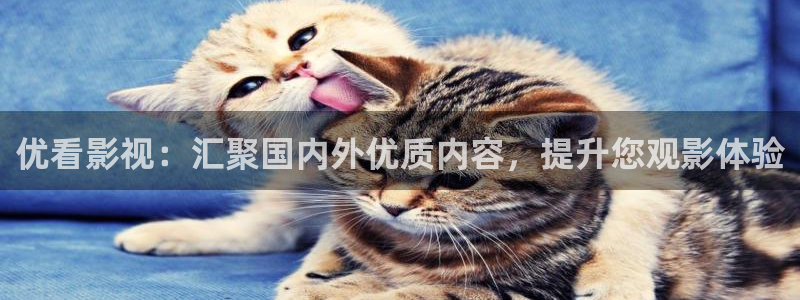 小河马视频大全：优看影视：汇聚国内外优质内容，提升您观影体验