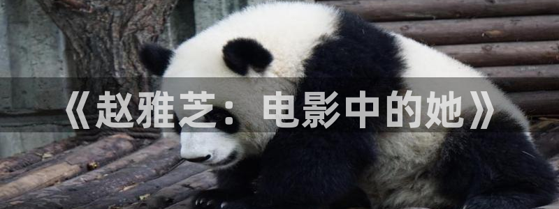 下载河马视频免广告的：《赵雅芝：电影中的她》