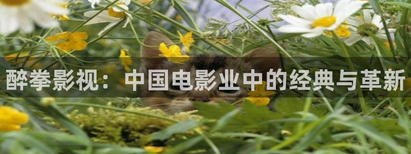 河马影视：醉拳影视：中国电影业中的经典与革新