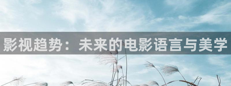 河马视频下载：影视趋势：未来的电影语言与美学