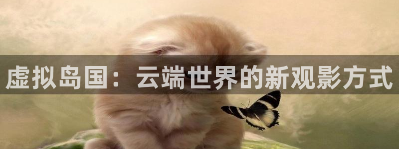 小河马视频：虚拟岛国：云端世界的新观影方式