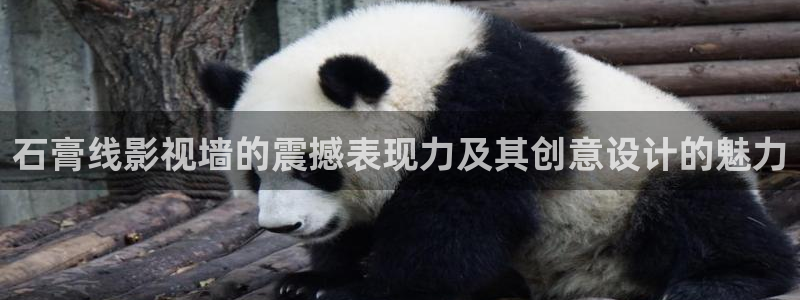 河马视频看电视剧：石膏线影视墙的震撼表现力及其创意设计的魅力