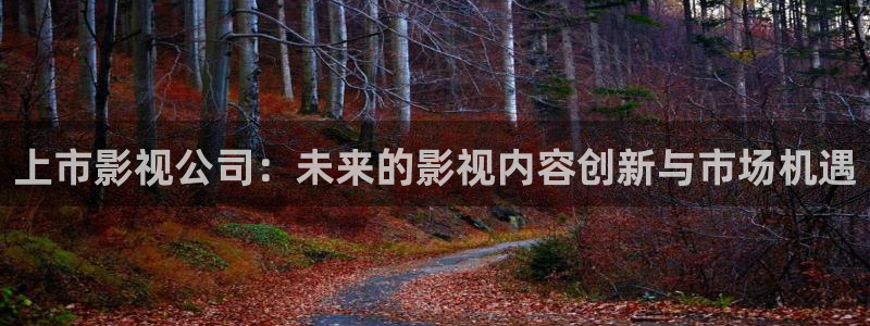 河马视频电视剧：上市影视公司：未来的影视内容创新与市场机遇